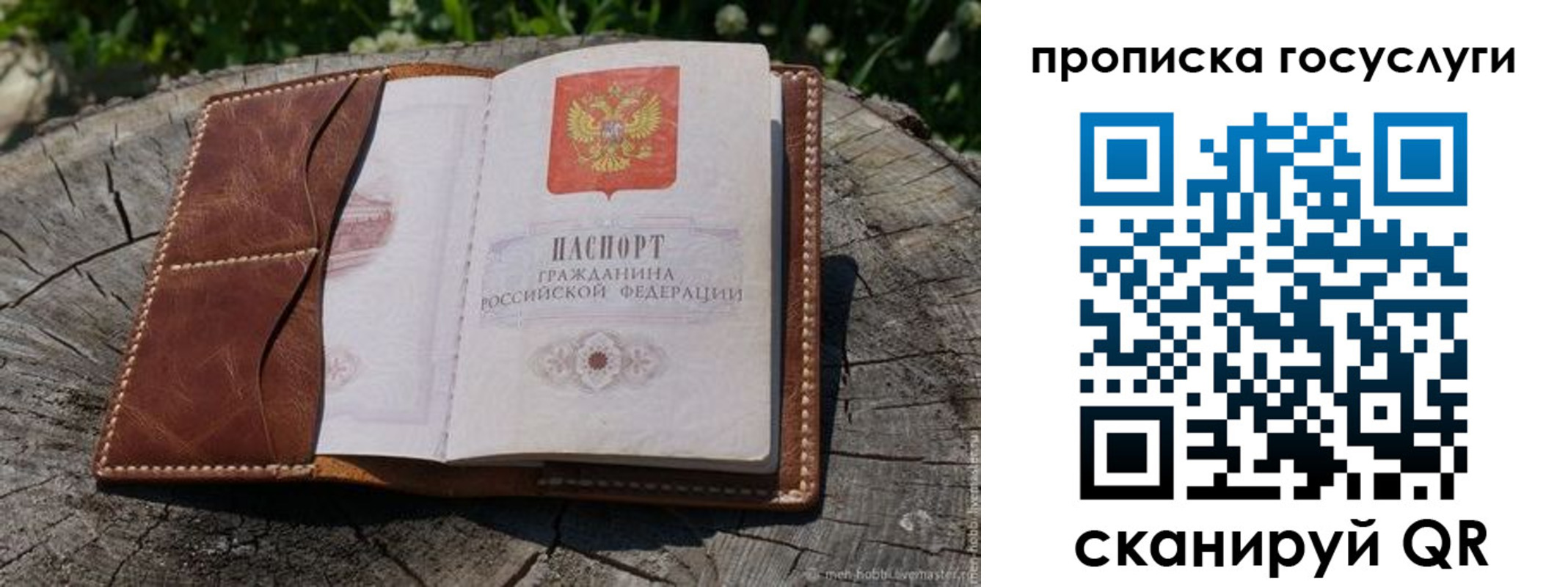 прописка для школы в Советской Гавани